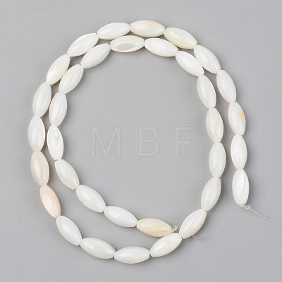 Natural Freshwater Shell Beads Strands SSHEL-R048-008-1