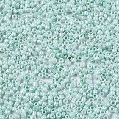 Glass Seed Beads SEED-S060-A-973-1