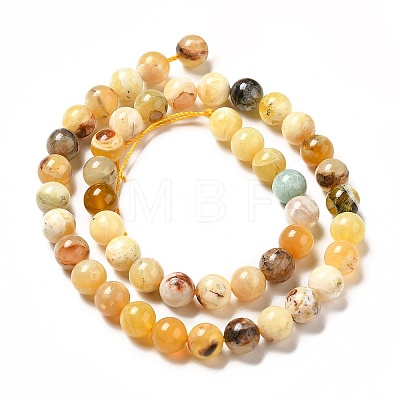 Natural Yellow Opal Beads Strands G-G992-A02-C-1