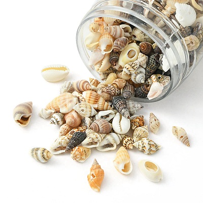 12 Styles Natural Mixed Shell Beads SSHEL-YW0001-05-1