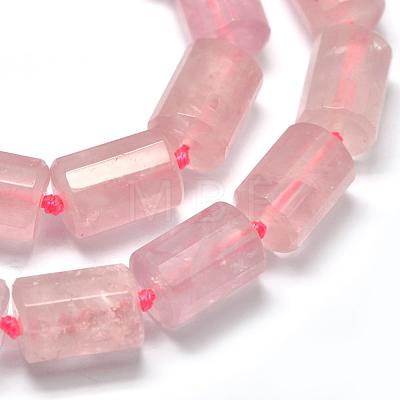 Natural Rose Quartz Beads Strands G-E401-A03-1