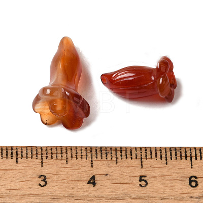 Natural Carnelian Beads G-C054-09F-1