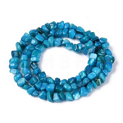 Natural Freshwater Shell Beads Strands SHEL-N037-04I-1