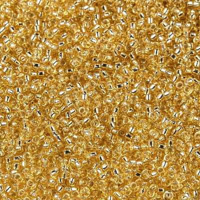 MIYUKI Round Rocailles Beads X-SEED-G009-RR0003-1