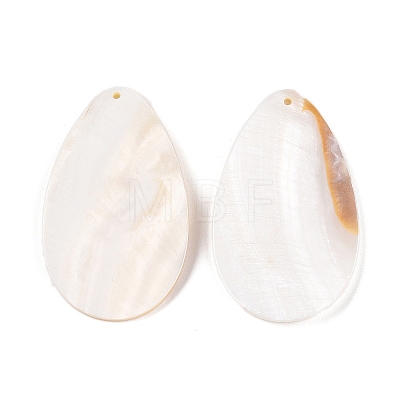 Natural Freshwater Shell Big Pendants SHEL-T020-02-1