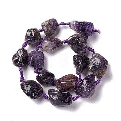 Natural Amethyst Beads Strands G-B024-14-1