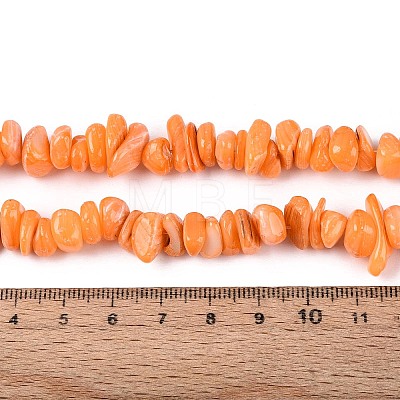 Dyed Natural Freshwater Shell Beads Strands BSHE-T014-55-1