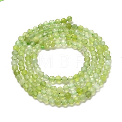 Natural Xiuyan Jade Beads Strands G-Z074-A04-01-1