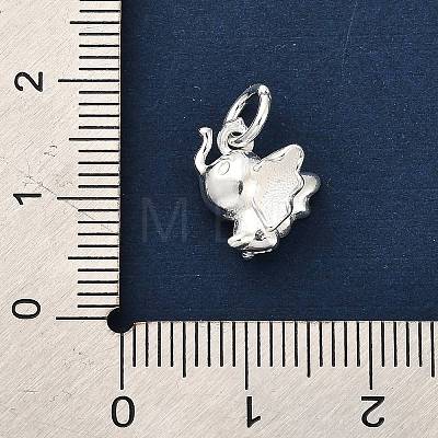 925 Sterling Silver Pendants FIND-Z069-02S-1