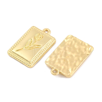 Alloy Pendants FIND-U007-09G-1