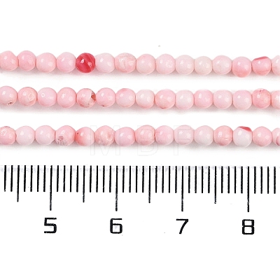 Natural Freshwater Shell Beads Strands BSHE-H109-14-1