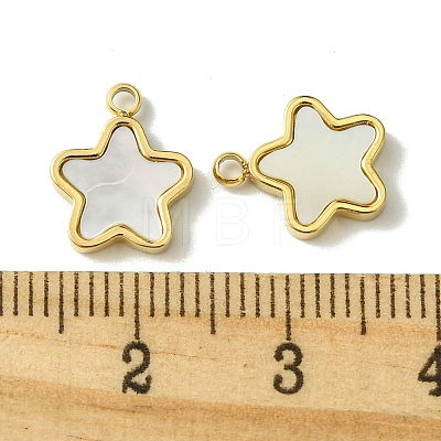 Ion Plating(IP) 304 Stainless Steel Pave Shell Star Charms FIND-Z028-26G-1