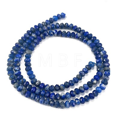 Natural Lapis Lazuli Beads Strands G-L587-B03-02-1