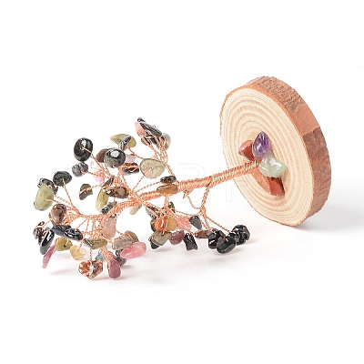 Natural Tourmaline Chips with Brass Wrapped Wire Money Tree on Wood Base Display Decorations DJEW-B007-05H-1