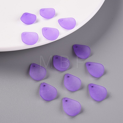 Transparent Frosted Acrylic Pendants MACR-S371-09A-747-1