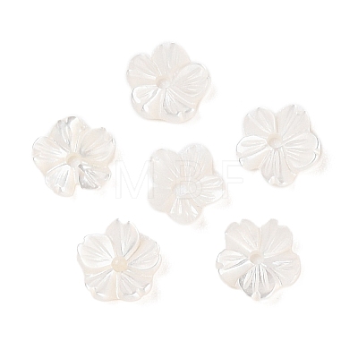 Natural White Shell Beads SSHEL-C012-23A-1