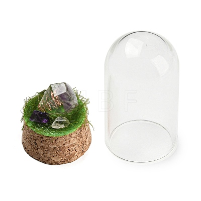 Natural Amethyst Nuggets Display Decoration with Glass Dome Cloche Cover DJEW-B009-04B-1