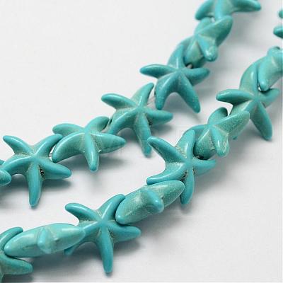 Synthetic Howlite Bead Strand G-P228-16-1