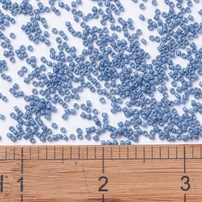 MIYUKI Delica Beads SEED-J020-DB2132-1