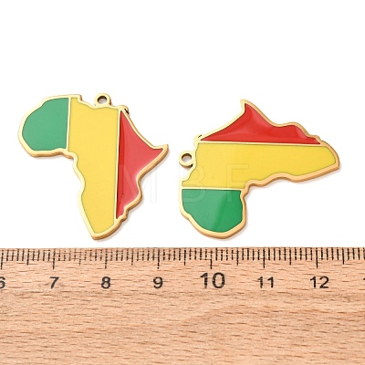 304 Stainless Steel & Enamel Pendants SA-CBA6ECE-01G-G02-1