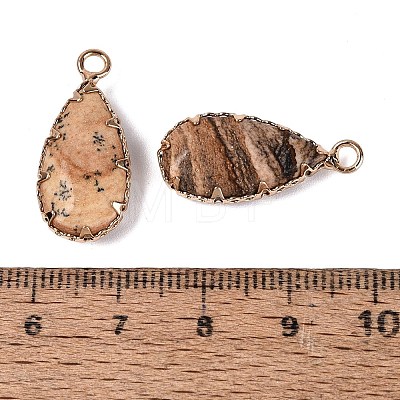 Natural Picture Jasper Faceted Pendants G-Q606-104G-07-1