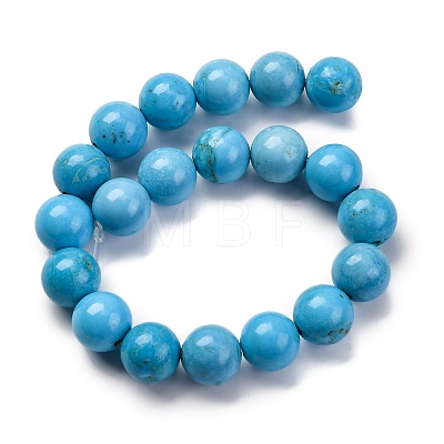 Dyed Natural Magnesite Beads Strands G-P558-A01-01A-1