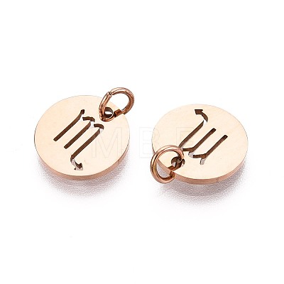 304 Stainless Steel Charms STAS-Q201-T445-8R-1