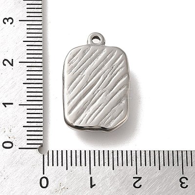 304 Stainless Steel Charms STAS-L022-076P-1