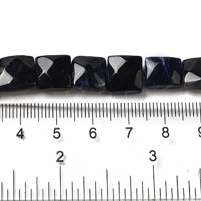 Natural Sodalite Beads Strands G-C109-A08-01-1