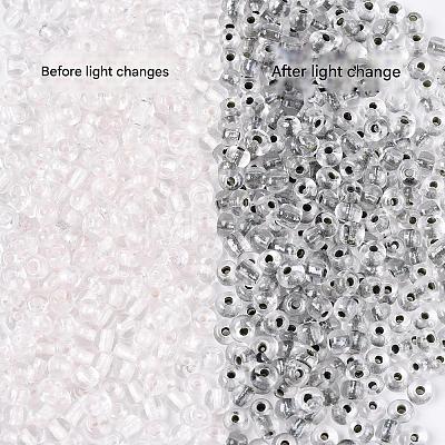 Glass Seed Beads SEED-T007-10B-1