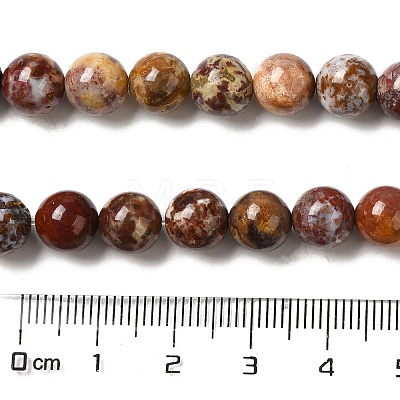 Natural Ocean Jasper Beads Strands G-H298-A13-03-1