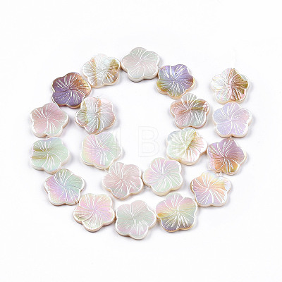 Electroplated Natural Freshwater Shell Beads Strands X-SHEL-N026-203B-01-1