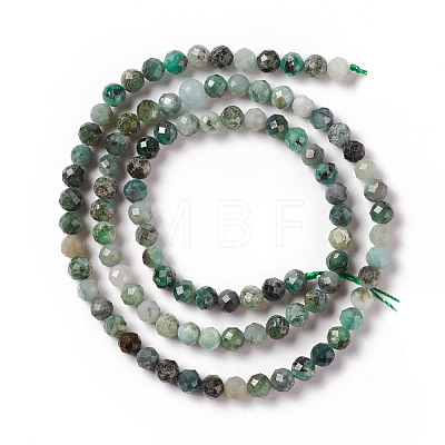 Natural Emerald Quartz Beads Strands G-F717-12-1