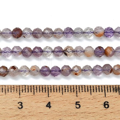 Natural Purple Phantom Quartz Purple Lodolite Quartz Beads Strands G-C262-A01-4mm-1