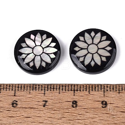Acrylic & Natural Freshwater Shell Cabochons OACR-N164-06-1