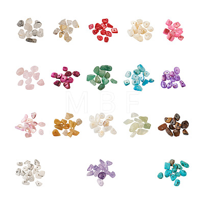 Cheriswelry 360g 18 Colors Freshwater Shell & Gemstone Chip Bead Sets G-CW0001-01-1