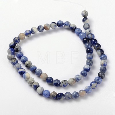 Natural Sodalite Beads Strand GSR8mmC013-1