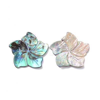 Natural Abalone Shell/Paua Shell Pendants BSHE-Z002-04-1