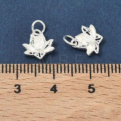 925 Sterling Silver Charms STER-A050-04C-S-1