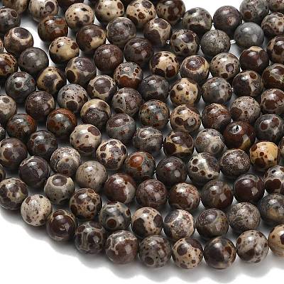 Natural Astroite Jasper Beads Strands G-H329-C02-8mm-1