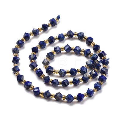 Natural Lapis Lazuli Beads Strands G-P463-25-1