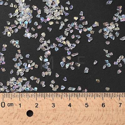 Transparent Electroplate Crushed Glass Craft GLAA-F123-02-1