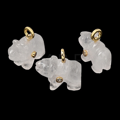 Natural Quartz Crystal Carved Pendants G-H357-02G-14-1