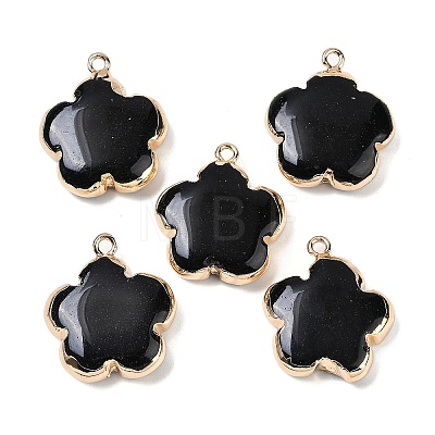 Natural Black Stone Pendants G-P566-01G-11-1