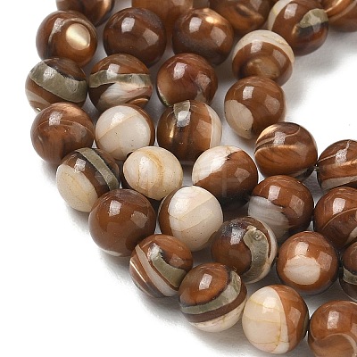 Natural Trochus Shell Beads Strands SH-CBAFEDD-02A-1