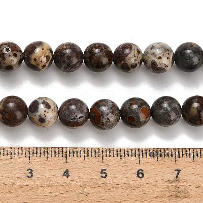 Natural Astroite Jasper Beads Strands G-H329-C02-8mm-1