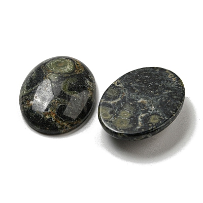 Natural Kambaba Jasper Cabochons G-C115-01B-22-1