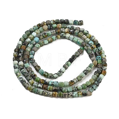 Natural African Turquoise(Jasper) Beads Strands G-H042-B41-01-1