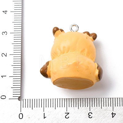Opaque Resin Pendants RESI-A049-01A-1