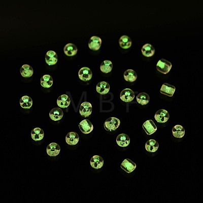 Glow in the Dark Luminous Transparent 8/0 Glass Seed Beads SEED-YWC0001-01I-1